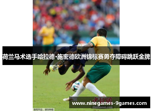荷兰马术选手哈拉德·施密德欧洲锦标赛勇夺障碍跳跃金牌 荷兰马术选手哈拉德·施密德欧洲锦标赛勇夺障碍跳跃金牌