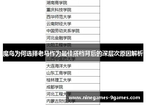 魔鸟为何选择老马作为最佳搭档背后的深层次原因解析